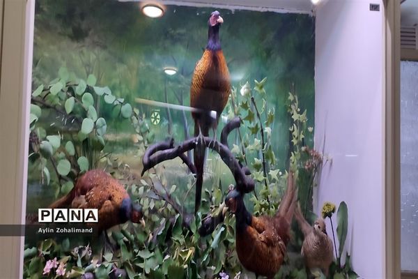 موزه تاریخ طبیعی در همدان