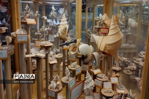 موزه تاریخ طبیعی در همدان