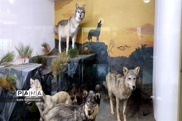 موزه تاریخ طبیعی در همدان