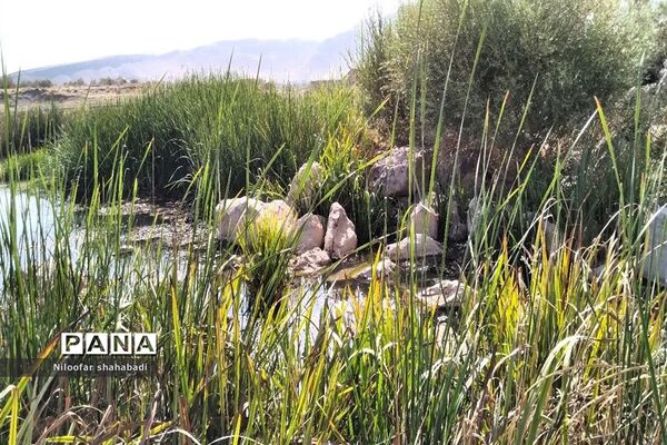 سد آبی خاکی روستای درکه در استان کرمانشاه