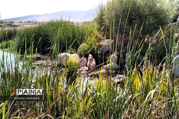 سد آبی خاکی روستای درکه در استان کرمانشاه