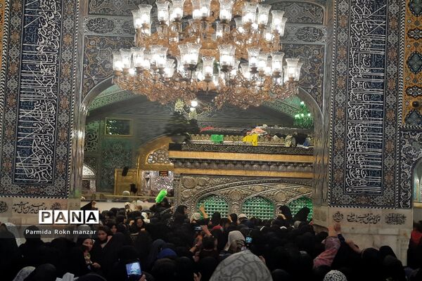 حال و هوای مشهد در روز شهادت امام رضا(ع)
