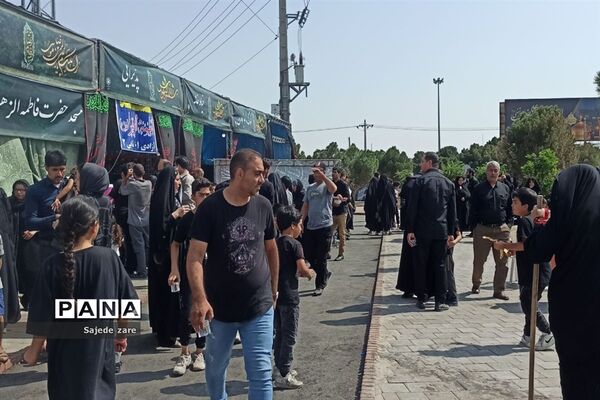 حضور پر شور دلدادگان امام رضا (ع) در مشهد مقدس