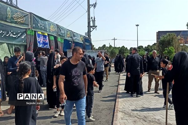 حضور پر شور دلدادگان امام رضا (ع) در مشهد مقدس