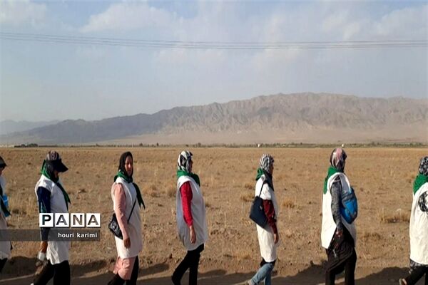 پیاده‌روی هیات عزاداران شهرستان مانه و سملقان دردهه آخر صفر به  حرم امام رضا( ع)