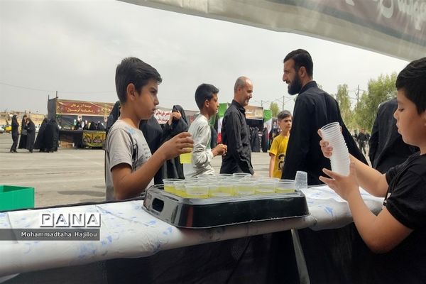 همایش پیاده‌روی حرم تا حرم  در شهرستان ساوه