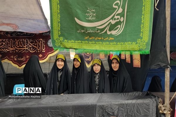 همایش پیاده‌روی حرم تا حرم  در شهرستان ساوه