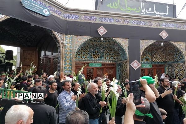 عزاداری ایام پایانی ماه صفر در حرم حضرت معصومه(س)