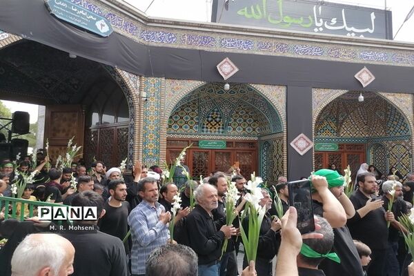 عزاداری ایام پایانی ماه صفر در حرم حضرت معصومه(س)