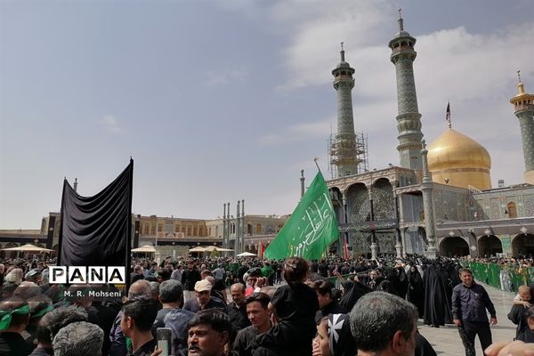 عزاداری ایام پایانی ماه صفر در حرم حضرت معصومه(س)