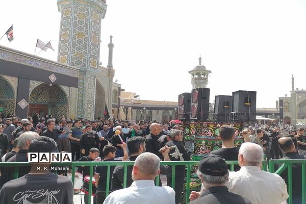 عزاداری ایام پایانی ماه صفر در حرم حضرت معصومه(س)