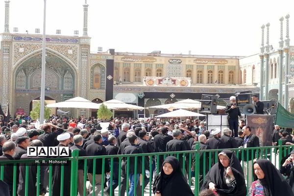 عزاداری ایام پایانی ماه صفر در حرم حضرت معصومه(س)