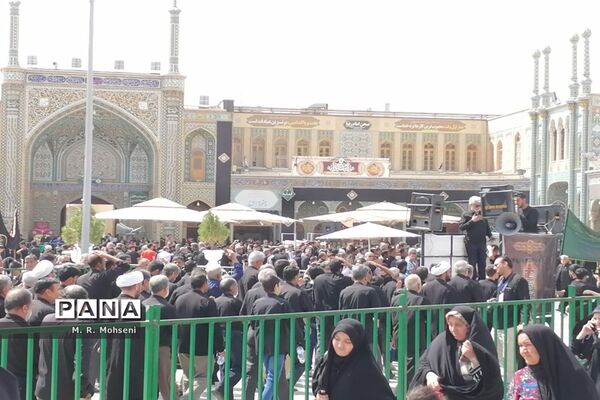 عزاداری ایام پایانی ماه صفر در حرم حضرت معصومه(س)