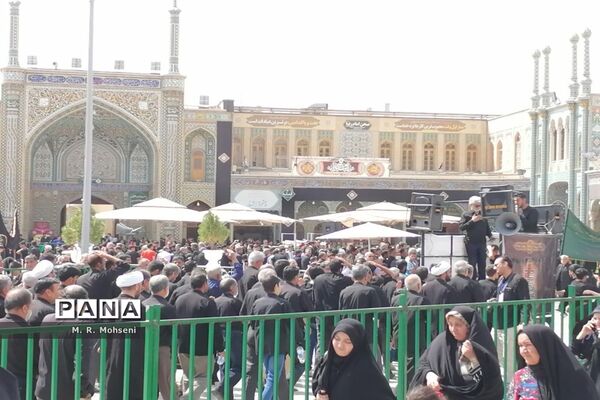 عزاداری ایام پایانی ماه صفر در حرم حضرت معصومه(س)