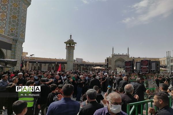 عزاداری ایام پایانی ماه صفر در حرم حضرت معصومه(س)