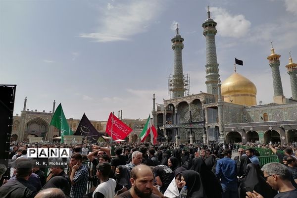 عزاداری ایام پایانی ماه صفر در حرم حضرت معصومه(س)