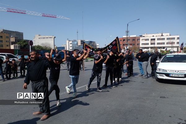 عزاداری زائران و مجاوران رضوی