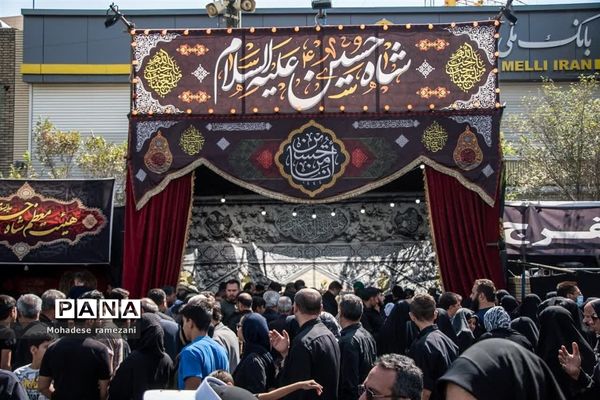 عزاداری زائران و مجاوران رضوی