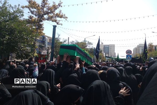 عزاداری زائران و مجاوران رضوی
