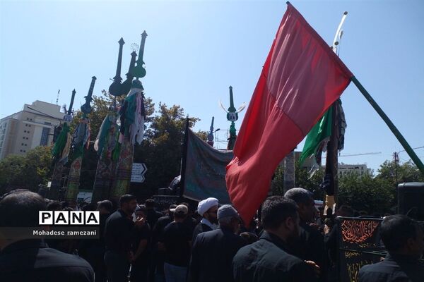 عزاداری زائران و مجاوران رضوی
