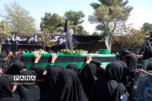 عزاداری زائران و مجاوران رضوی