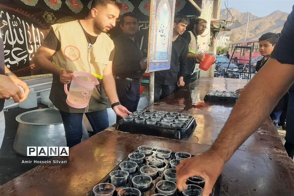 برگزاری مراسم پیاده‌روی حرم تا حرم در جهرم