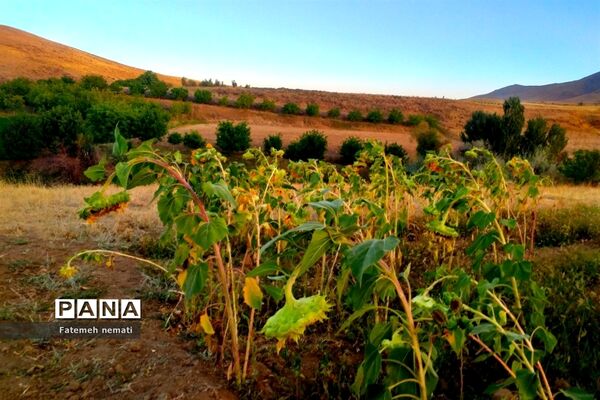 طبیعت زیبای استان مرکزی در آخرین روزهای تابستان