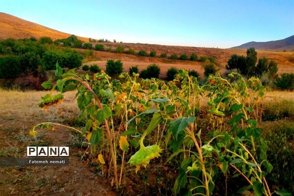 طبیعت زیبای استان مرکزی در آخرین روزهای تابستان