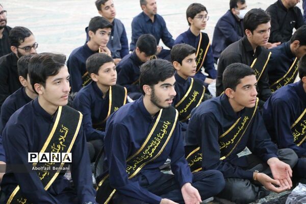 دسته عزاداری خادمان حرم خواهر در سوگ شهادت برادر
