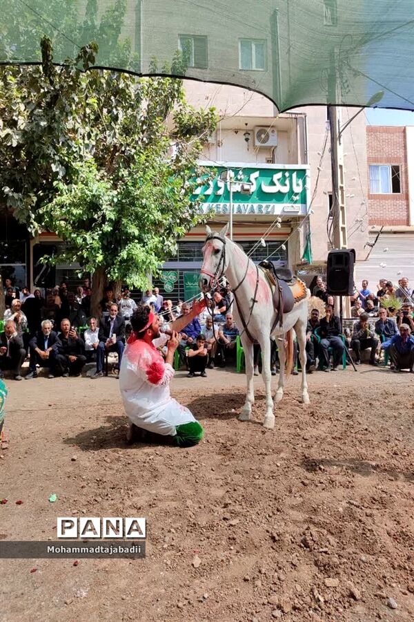 مراسم تعزیه‌خوانی شهادت حضرت علی اکبر(ع) در شهر ریوند