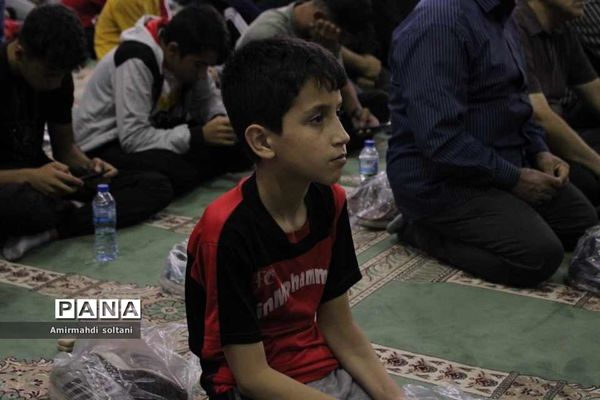 یاوران ولایت