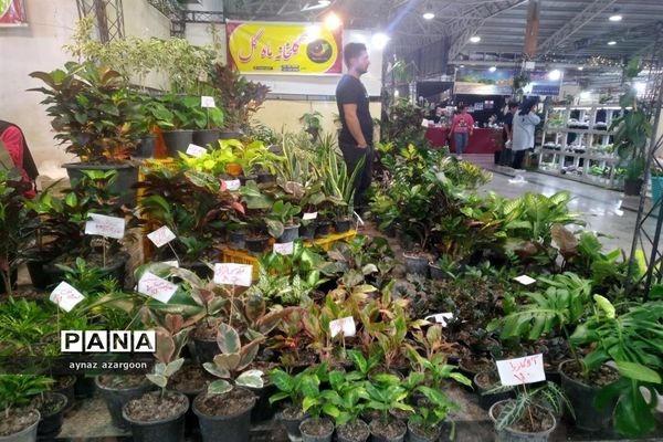 نمایشگاه پاییزه در قائمشهر