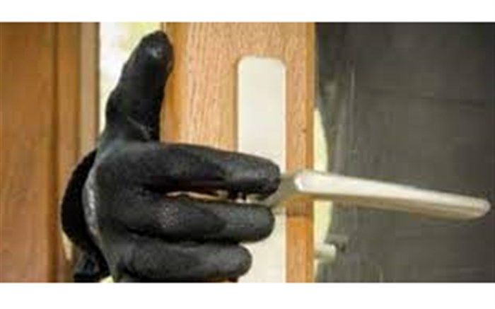 سارق منازل قاین  دستگیر شد