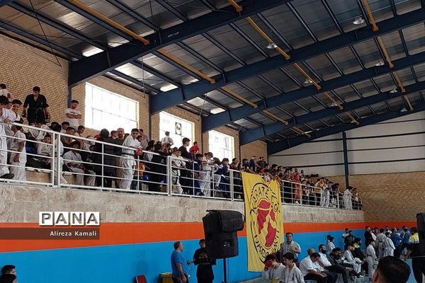 برگزاری مسابقات کشوری رزمی در صفادشت