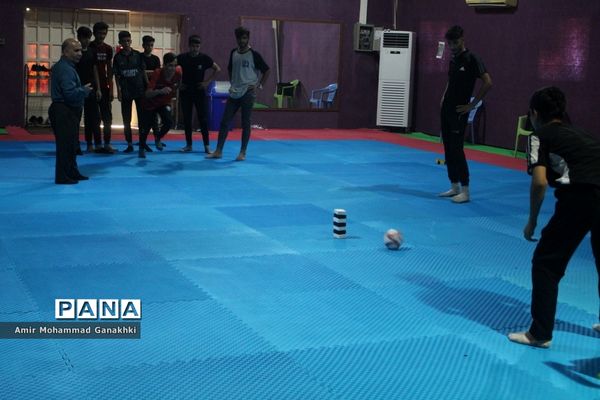 اجرای طرح مهر پویا در مدارس بوشهر