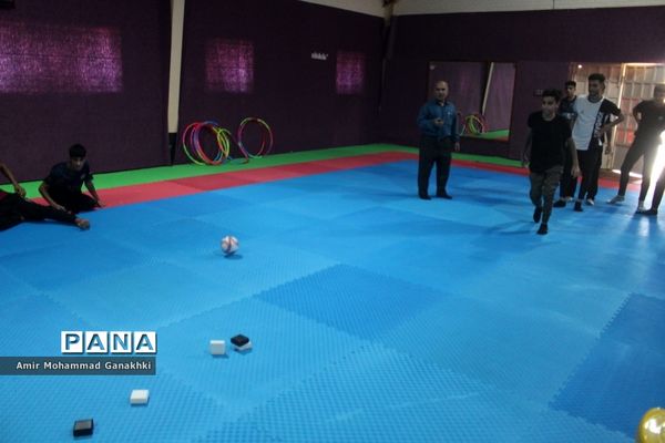 اجرای طرح مهر پویا در مدارس بوشهر