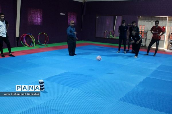 اجرای طرح مهر پویا در مدارس بوشهر