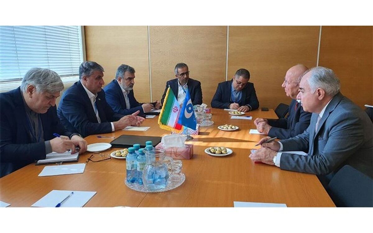 دیدار اسلامی با رئیس کمیسیون انرژی اتمی پاکستان