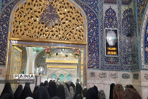 حال و هوای حرم مطهر امام رضا(ع)در هفته وحدت