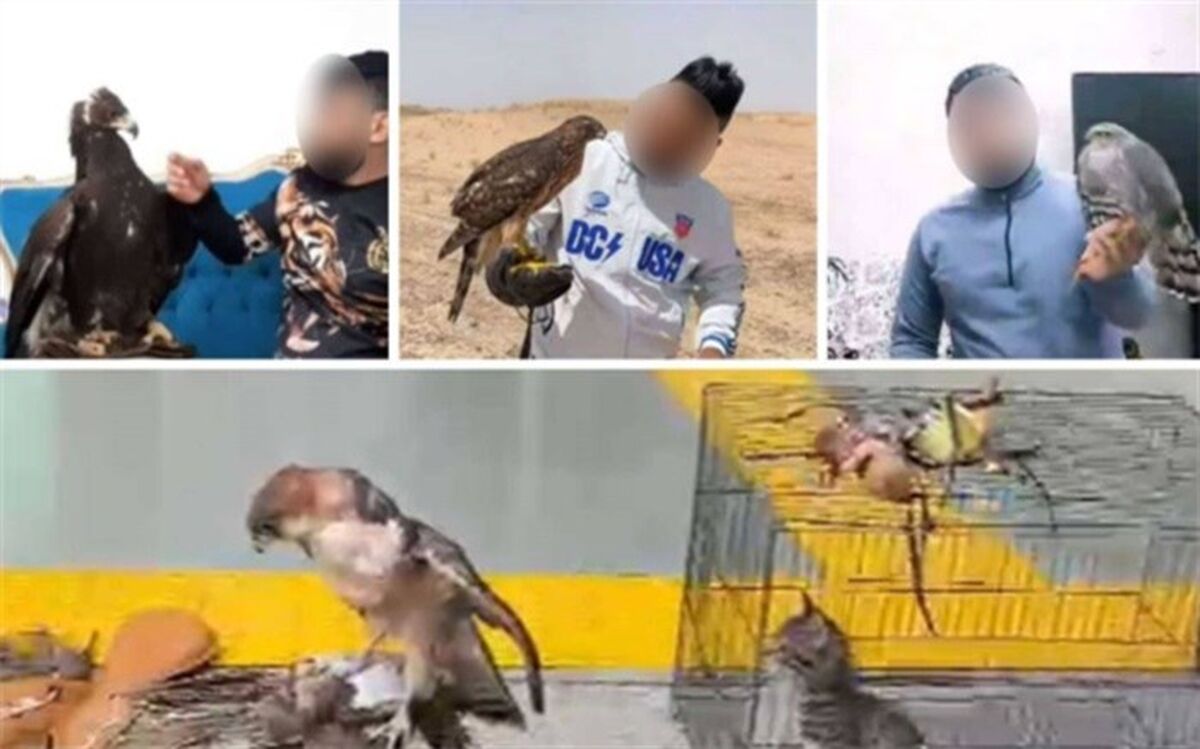 دستگیری قاچاقچی گونه‌های حیات وحش با مجموعه‌ای از پرندگان شکاری