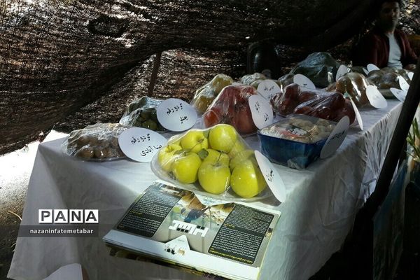 نمایشگاه توانمندی‌ها و دست‌آوردهای فرهنگی شهرستان فیروزکوه