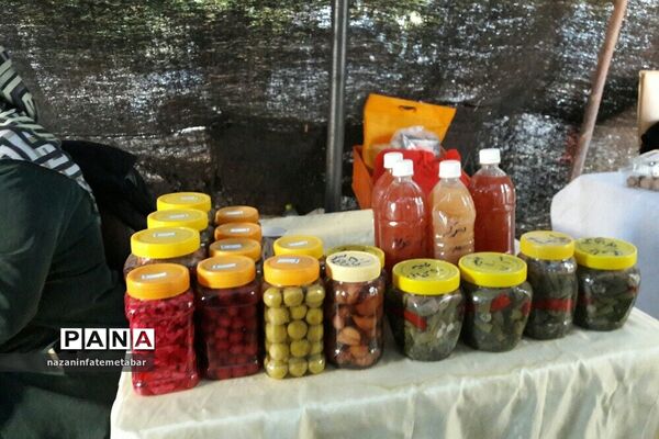 نمایشگاه توانمندی‌ها و دست‌آوردهای فرهنگی شهرستان فیروزکوه