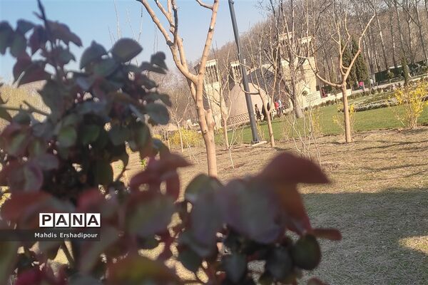 پارک ملی ایران کوچک