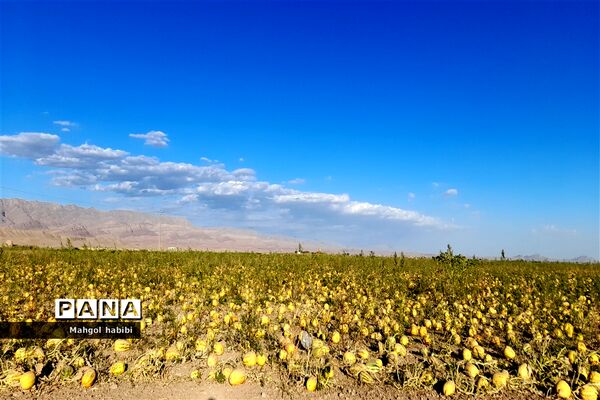 رادکان بهشت خراسان