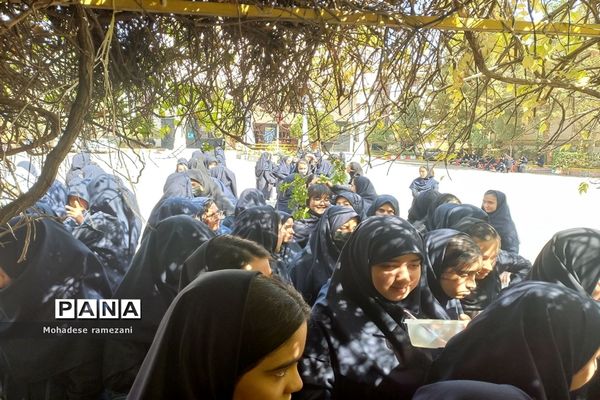 پخش نذری به‌مناسبت ولادت حضرت رسول اکرم (ص) و امام جعفر صادق (ع) در دبیرستان مهشید مصلی‌نژاد