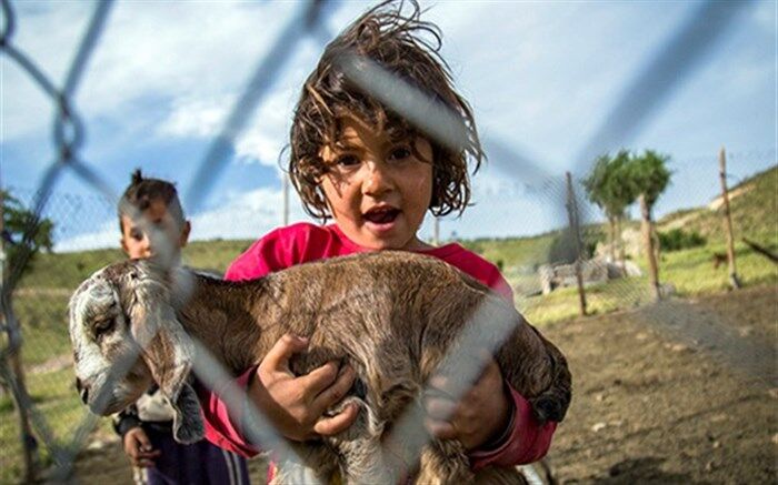 برنامه‌ریزی توسعه روستایی فرآیندی هدفمند با مشارکت روستائیان است