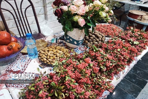 نمایشگاه توانمندی‌های روستایی در شهرستان محلات