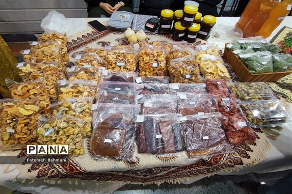 نمایشگاه توانمندی‌های روستایی در شهرستان محلات