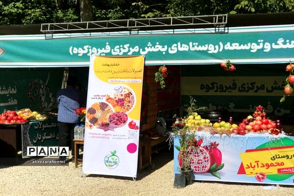 برگزاری ویژه‌برنامه هفته فرهنگی در بخش مرکزی شهرستان فیروزکوه