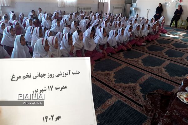 جشنواره صبحانه سالم و مفید با تخم مرغ